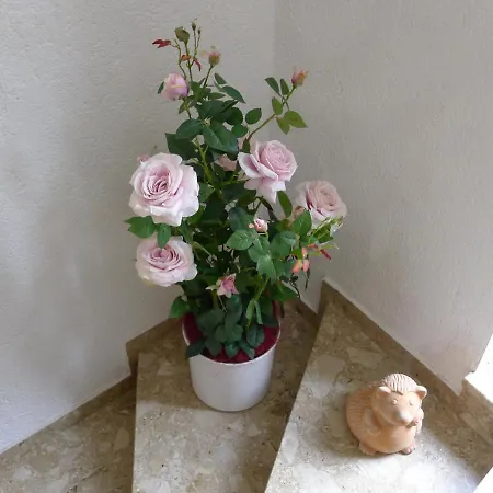 شقة ألبين أبارتمنت كلوديا